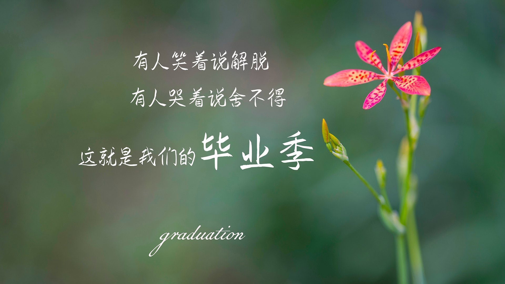 开云体育链接-体育新闻中心强化赛事内容沉淀与归档管理，大型体育赛事新闻运行的五大核心板块